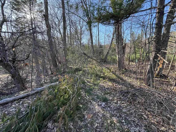 00 Simonsville RD #Lot 3, Andover, VT 05143