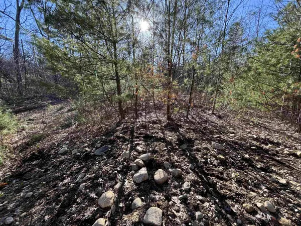 00 Simonsville RD #Lot 3, Andover, VT 05143