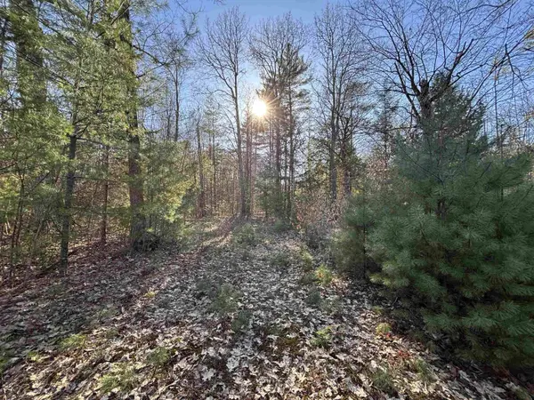 00 Simonsville RD #Lot 3, Andover, VT 05143