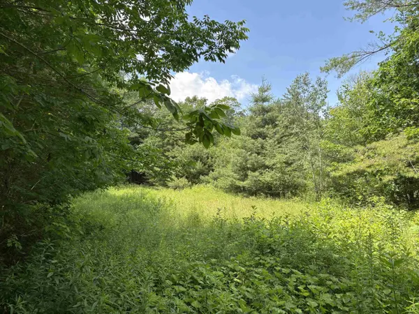 00 Simonsville RD #Lot 3, Andover, VT 05143