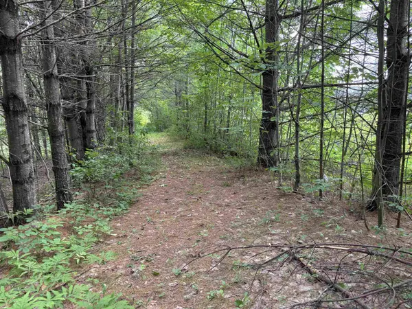 00 Simonsville RD #Lot 3, Andover, VT 05143