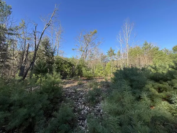 00 Simonsville RD #Lot 3, Andover, VT 05143