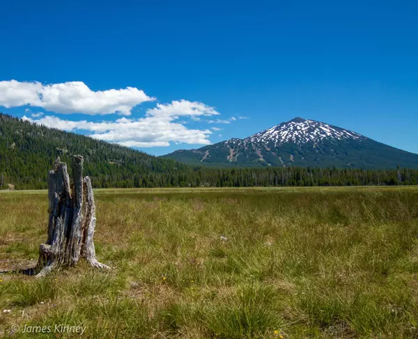 Sparks Lake Meadow and Mt. Bachelor - Bend Oregon Real Estate