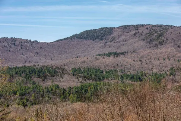 769 Straight RD, Mount Holly, VT 05730