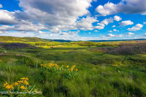 8 LOT 6 SKYLINE Drive, Bondurant, WY 82922