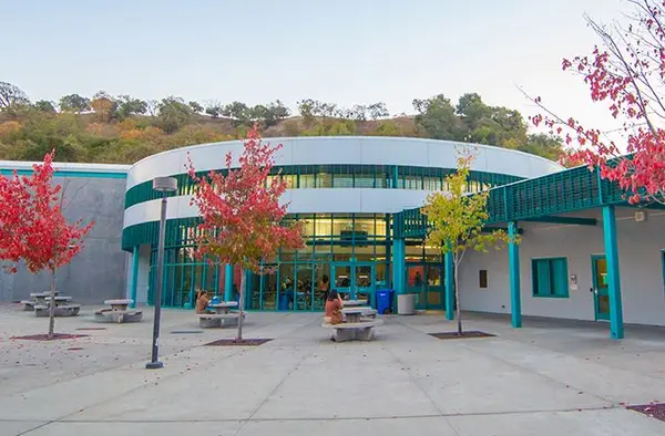 Discover Tice Valley Gym: Programs, Classes, and Community Events for All Ages