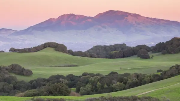 Spring 2026 Real Estate Market Overview: Walnut Creek, Danville & LaMorinda