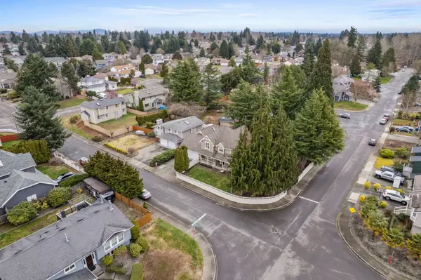 4-web-or-mls-DJI_0913