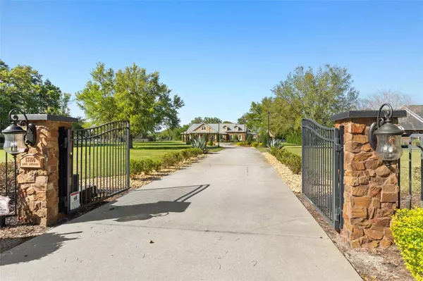 13206 LEWIS RAULERSON ROAD, Dover, FL 33527