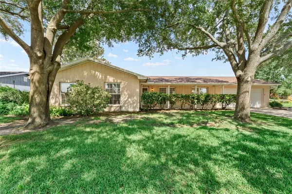 1807 GREEN LAWN ST, Brandon, FL 33511