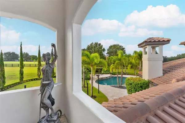 10603 LOW OAK TER, Thonotosassa, FL 33592