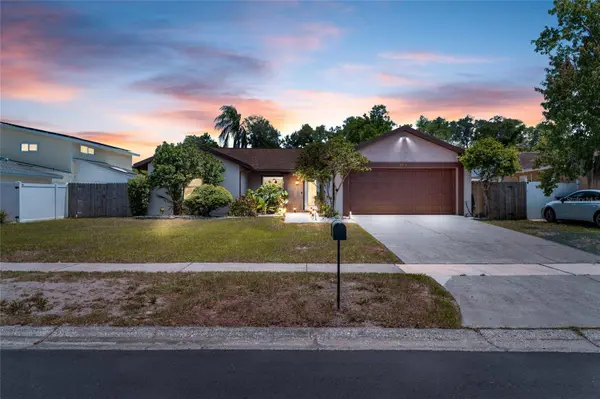 6916 WILLIAMS DR, Tampa, FL 33634