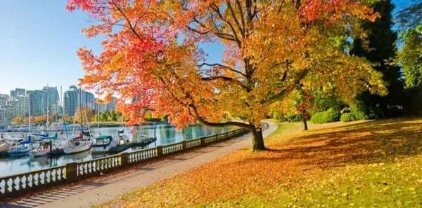 Vancouver Real Estate Market Update – Q4 2025 Outlook