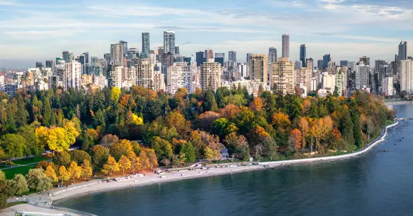 October Market Update