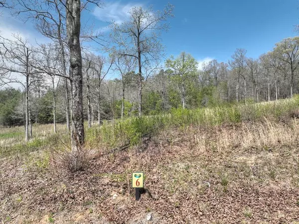 6 Arbor Creek Trail, Mineral Bluff, GA 30559