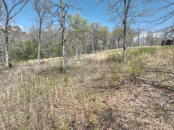 6 Arbor Creek Trail, Mineral Bluff, GA 30559