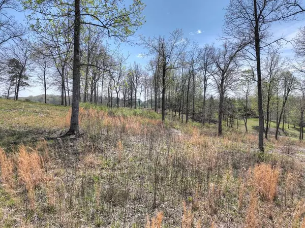 6 Arbor Creek Trail, Mineral Bluff, GA 30559