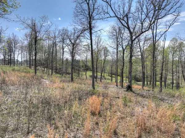 6 Arbor Creek Trail, Mineral Bluff, GA 30559