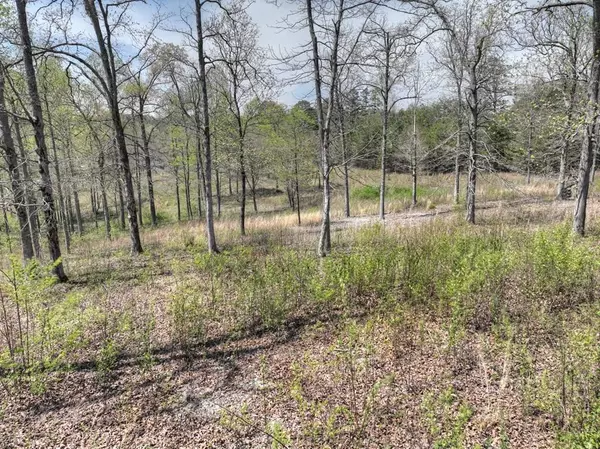 6 Arbor Creek Trail, Mineral Bluff, GA 30559
