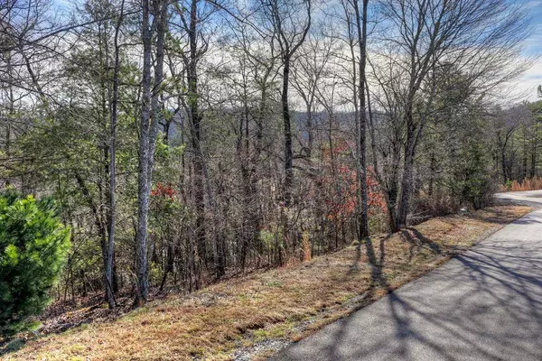 112 Fawn Way, Mineral Bluff, GA 30559