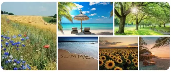The Local's Summer Handbook