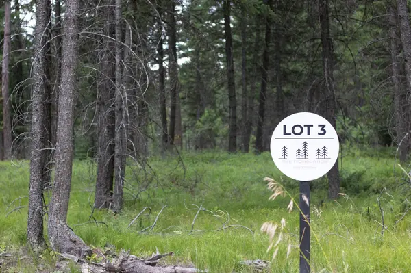 316 Sandalwood LN #Lot 3, Whitefish, MT 59937