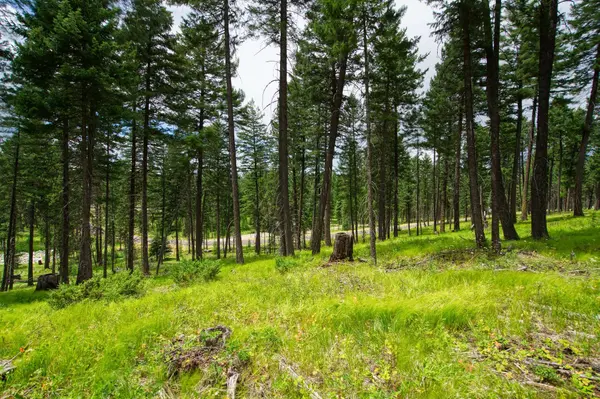 182 Rosewood LN #Lot 15, Whitefish, MT 59937