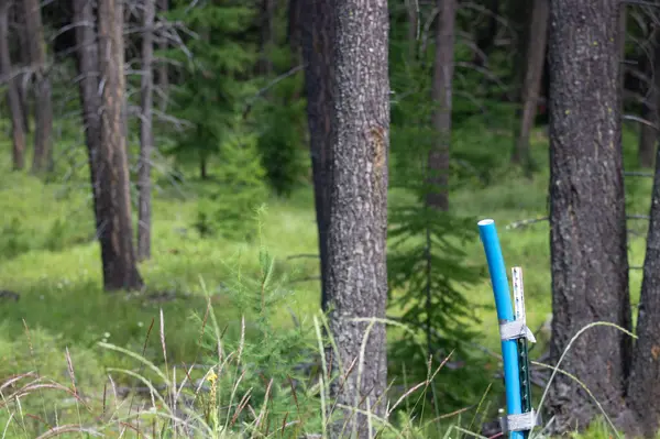 161 Rosewood #Lot 10, Whitefish, MT 59937