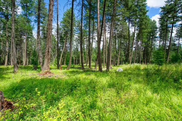 161 Rosewood #Lot 10, Whitefish, MT 59937
