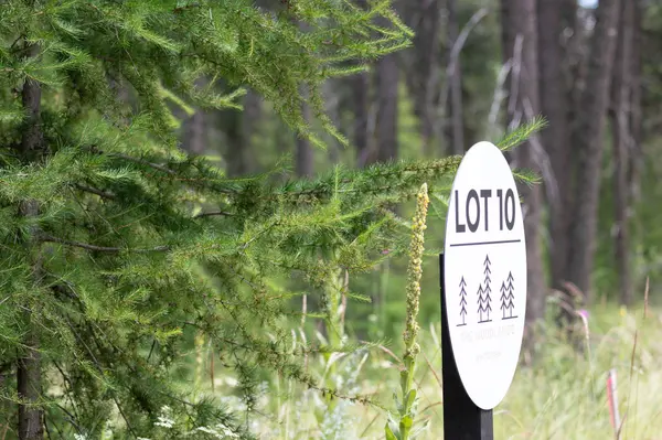 161 Rosewood #Lot 10, Whitefish, MT 59937