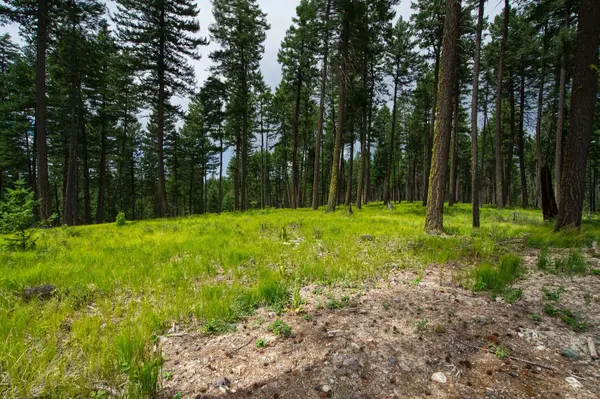 182 Rosewood LN #Lot 15, Whitefish, MT 59937