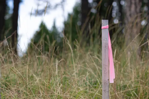 182 Rosewood LN #Lot 15, Whitefish, MT 59937