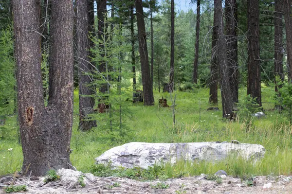 Address To Be Determined The Woodlands #Lot 9, Whitefish, MT 59937