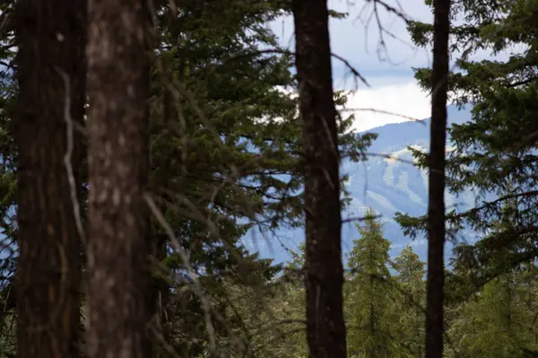 149 Rosewood Lane #Lot 8, Whitefish, MT 59937