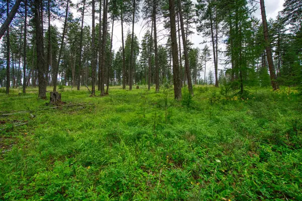 Address To Be Determined The Woodlands #Lot 9, Whitefish, MT 59937