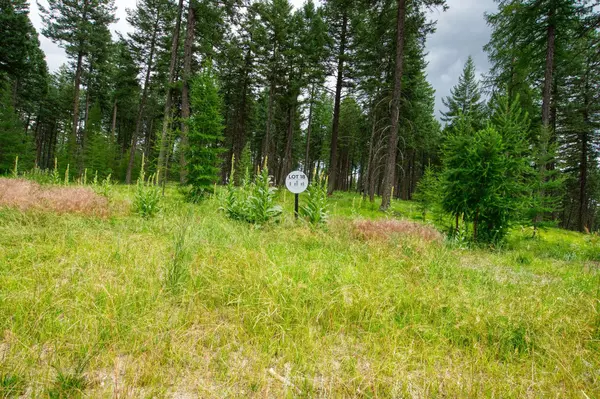142 Rosewood LN #Lot 18, Whitefish, MT 59937