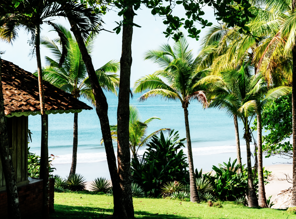 Panama Beach Real Estate