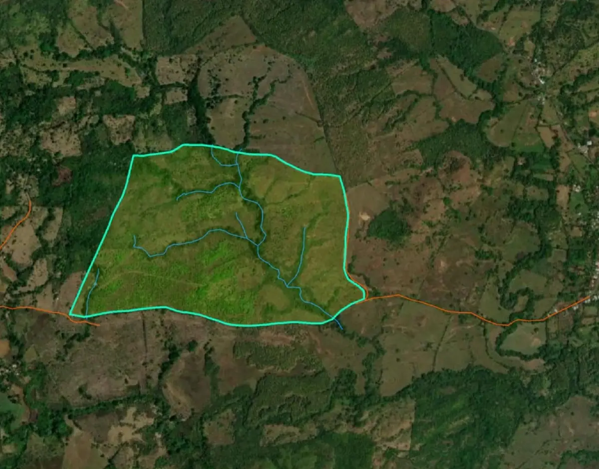 Finca Llano Grande - Veraguas