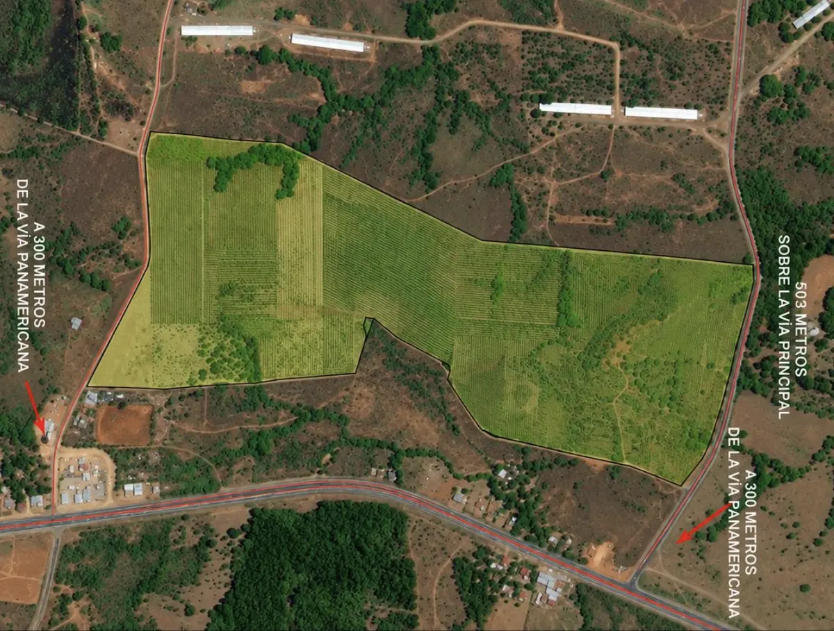 Finca Cañazas - Veraguas