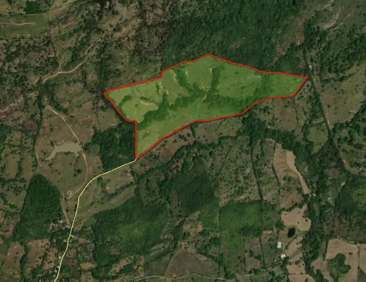 Finca Cerro Pedregoso - Veraguas