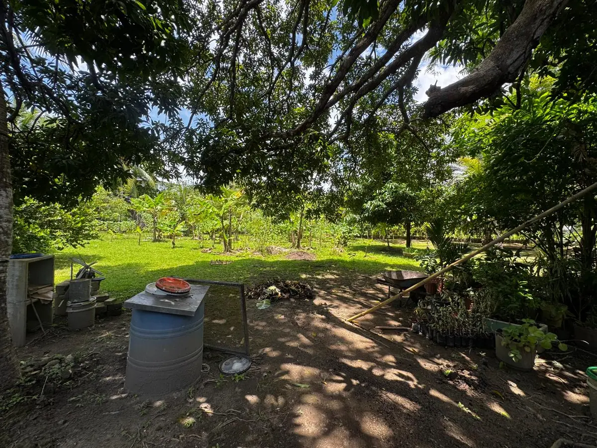 Santa Clara
