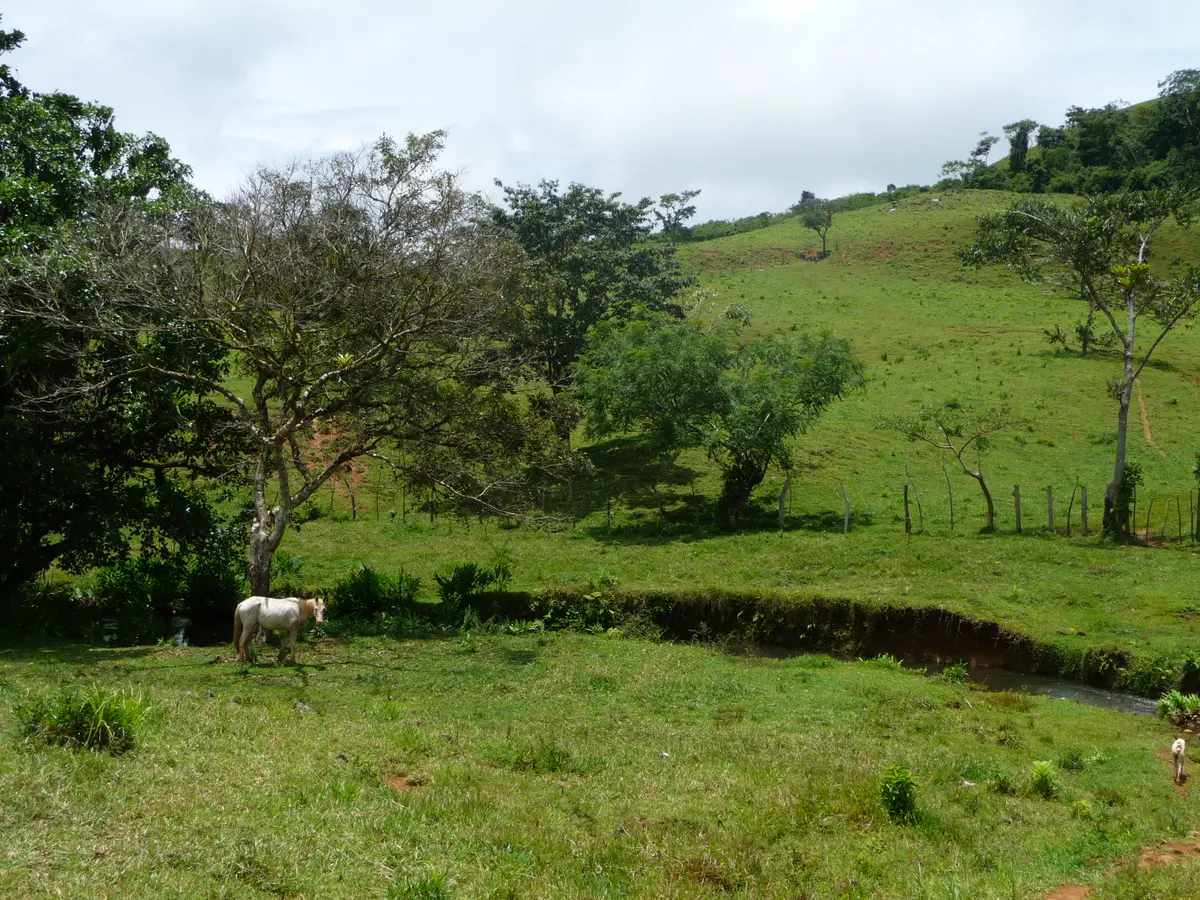 Chiriqui