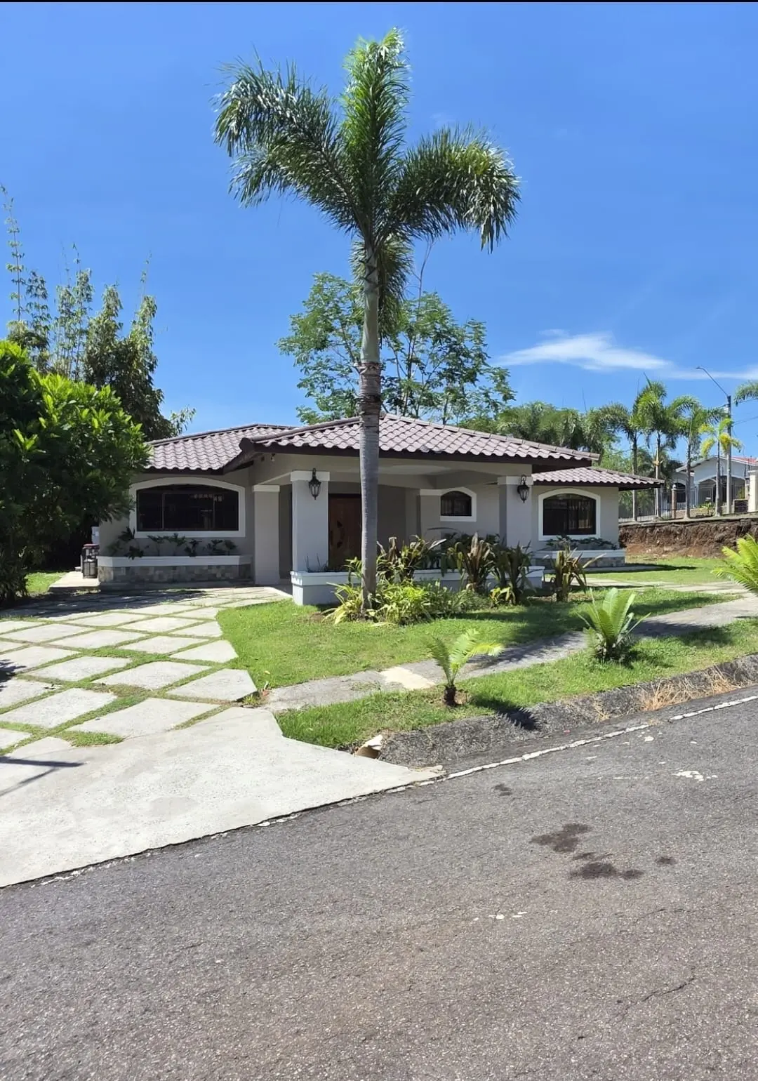 Loma de San Carlos - David