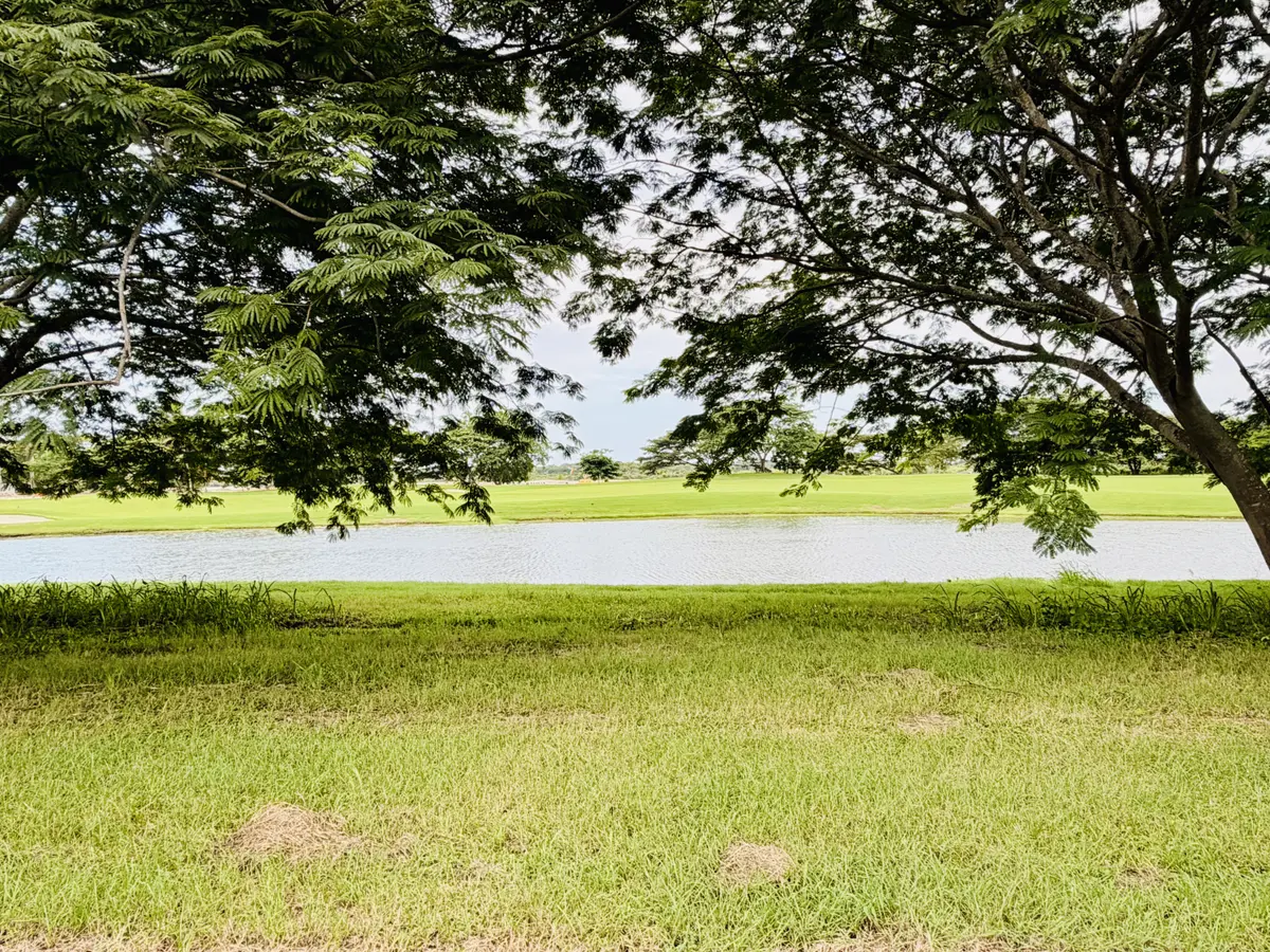 Buenaventura