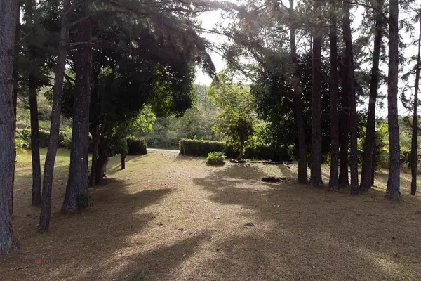 Valle de Anton