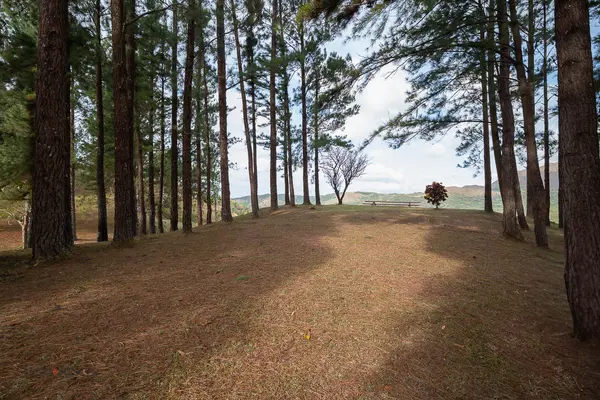 Valle de Anton
