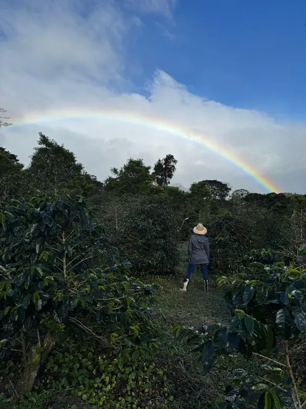 Coffee Farm - Boquete, 