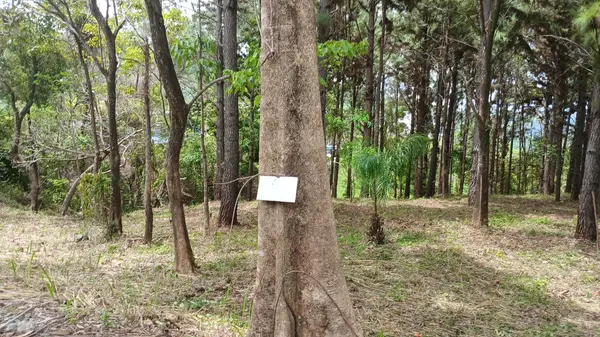 Altos del Maria
