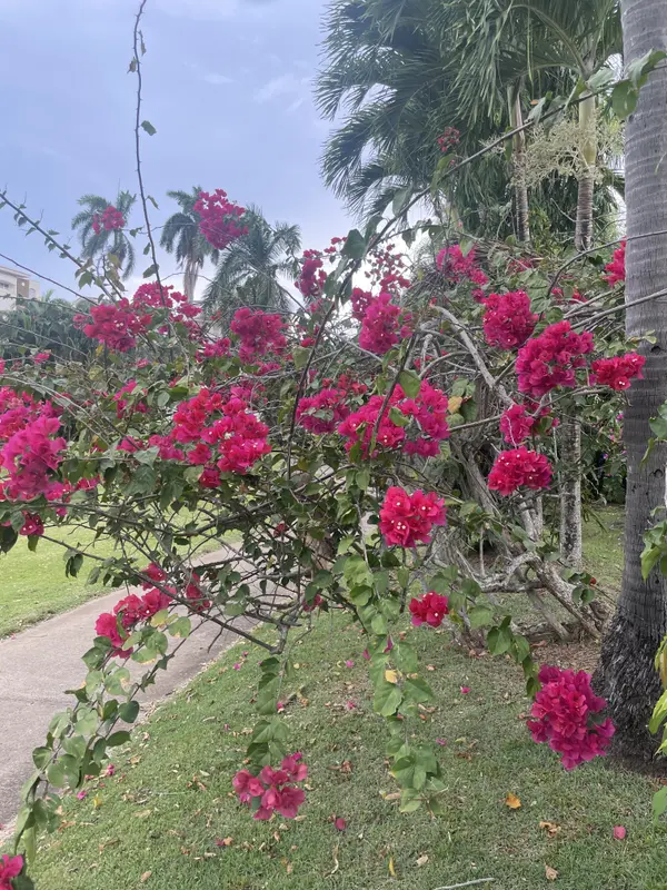 Tucan Country Club
