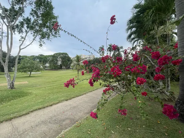 Tucan Country Club